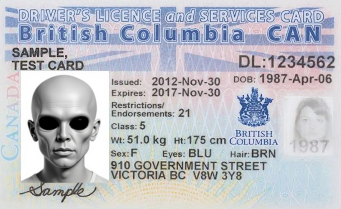 Alberta Fake ID
