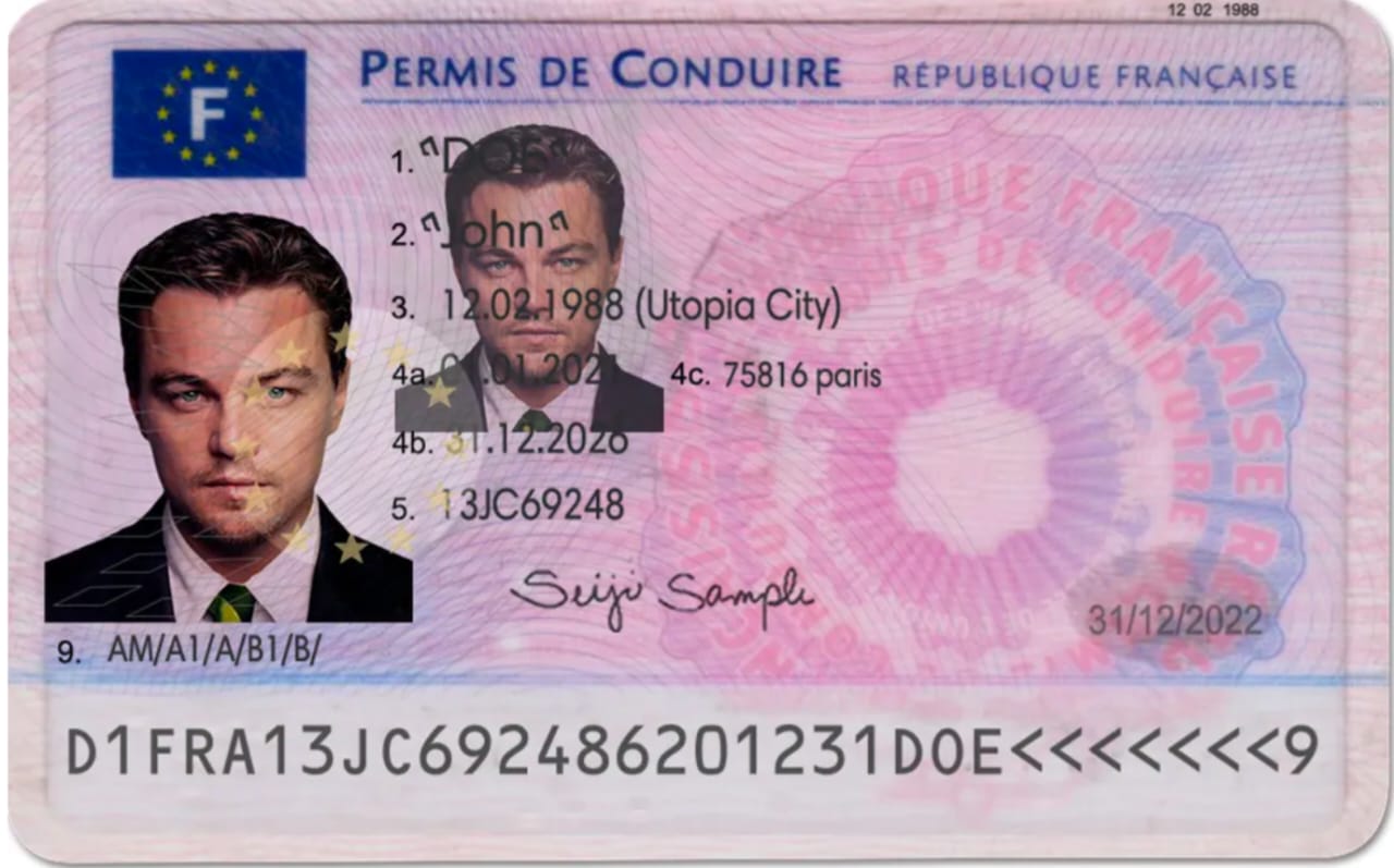France Fake ID — Scannable Replica