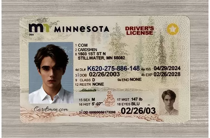 Minnesota Fake ID (Teslin)