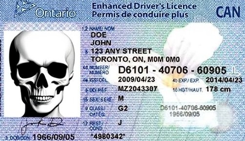 Ontario Fake ID