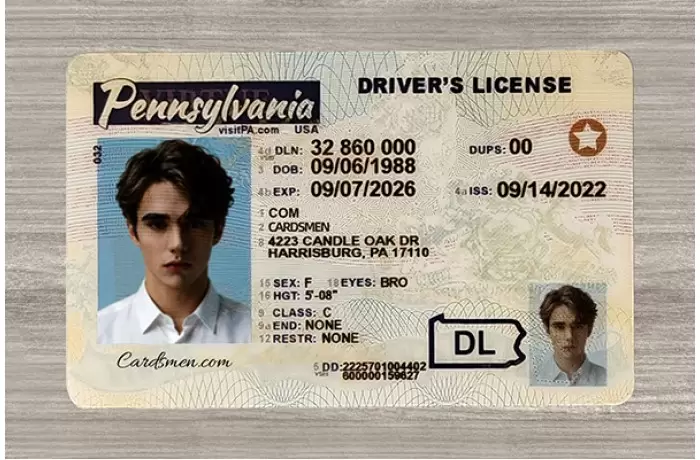Pennsylvania Fake ID (Teslin)