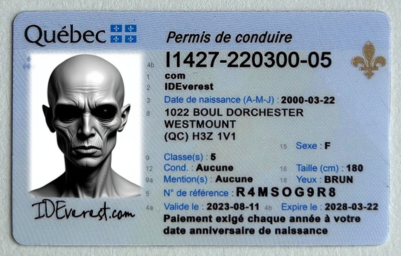 Quebec Fake ID