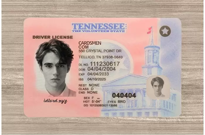 Tennessee Fake ID