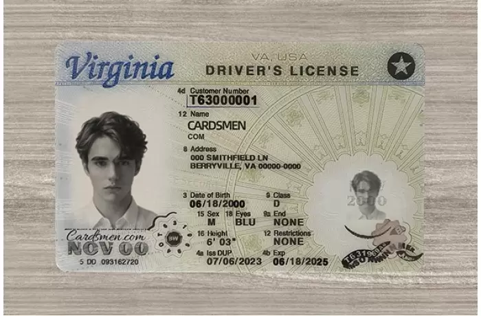 Virginia Fake ID